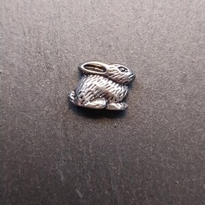 May include: A silver charm in the shape of a rabbit. The rabbit is sitting on its hind legs with its ears up.