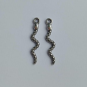 Könnte beinhalten: Zwei silberne Schlangenanhänger mit einem strukturierten Schlangendesign. Die Anhänger haben eine Öse oben zum Anbringen an Schmuck.