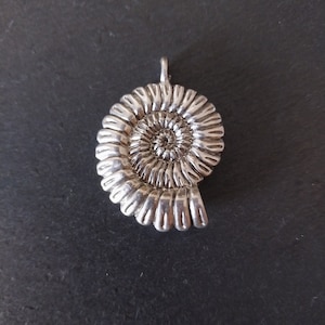 Puede incluir: Un colgante de plata con forma de fósil de amonita. El colgante está detallado con un patrón en espiral y un acabado liso y pulido.