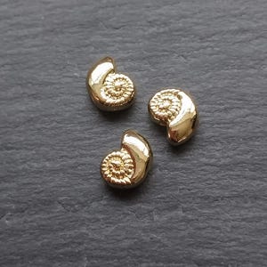 May include: Three small, gold-colored, spiral-shaped objects with a textured center. The objects are arranged on a dark gray surface. The spiral design is reminiscent of a seashell or fossil.