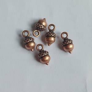 Può includere: Cinque piccoli ciondoli in metallo color rame a forma di ghianda. Ogni ciondolo presenta una calotta testurizzata con motivo a tratteggio incrociato e una base liscia e arrotondata con un anello circolare sulla parte superiore.