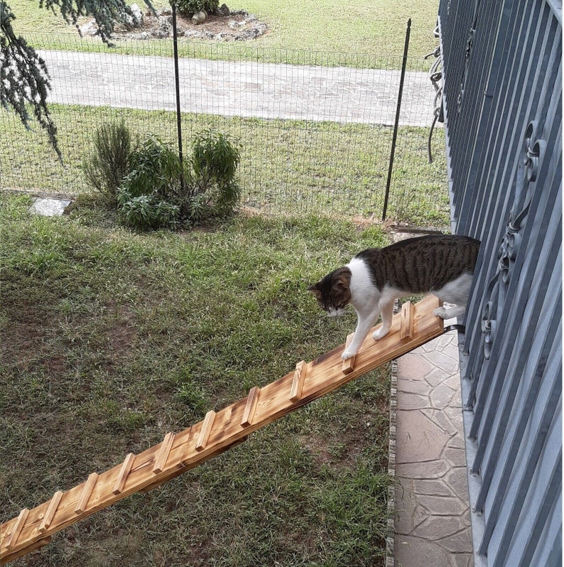 May include: A white and brown tabby cat walks up a wooden cat ladder attached to a gray fence. The ladder is made of natural wood and has a rustic look.