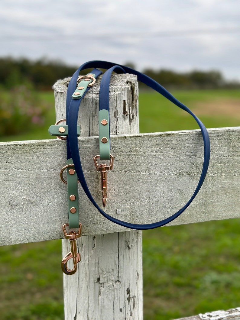 Custom Waterproof Allweather Biothane® Material Leash Etsy