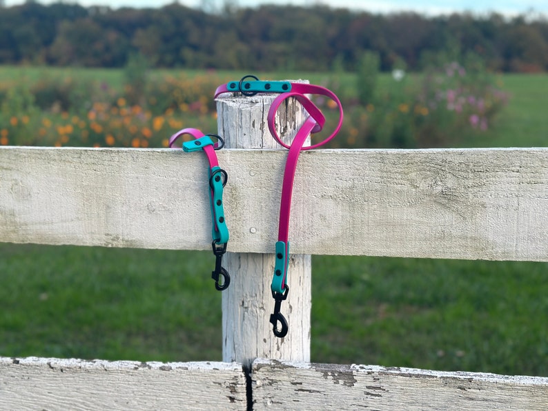 Custom Waterproof Allweather Biothane® Material Leash Etsy