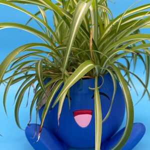 Könnte beinhalten: Ein blauer, lächelnder Blumentopf mit einer Grünlilie. Der Topf hat ein Cartoon-Gesicht mit schwarzen Augen, einer rosa Zunge und einem roten Mund. Die Grünlilie hat lange, grün-weiß gestreifte Blätter. Der Hintergrund ist einfarbig hellblau.