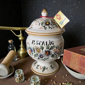 Peut inclure: Un pot de pharmacie en céramique blanche avec un couvercle, orné de motifs floraux colorés et du nom "P. SCALIG". Une petite étiquette indique "Gte MARTEL". Deux petits pots en verre et un mortier et un pilon sont également visibles.
