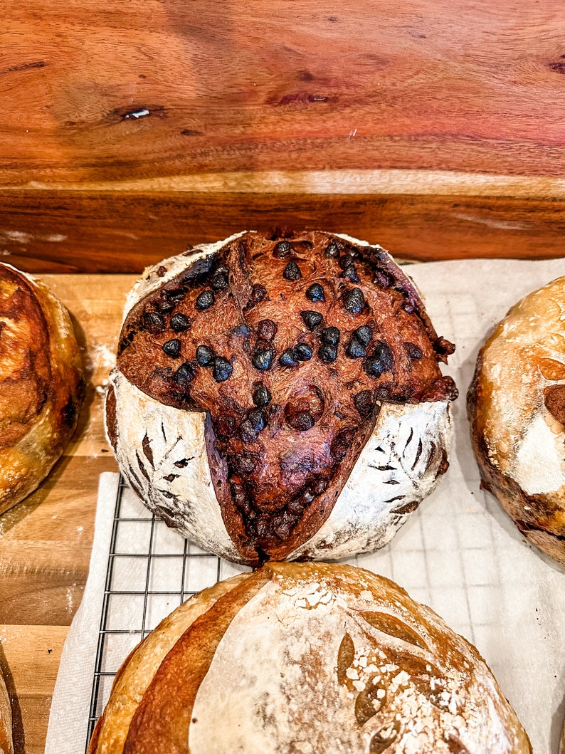 Double Chocolate Sourdough Recipe image 1