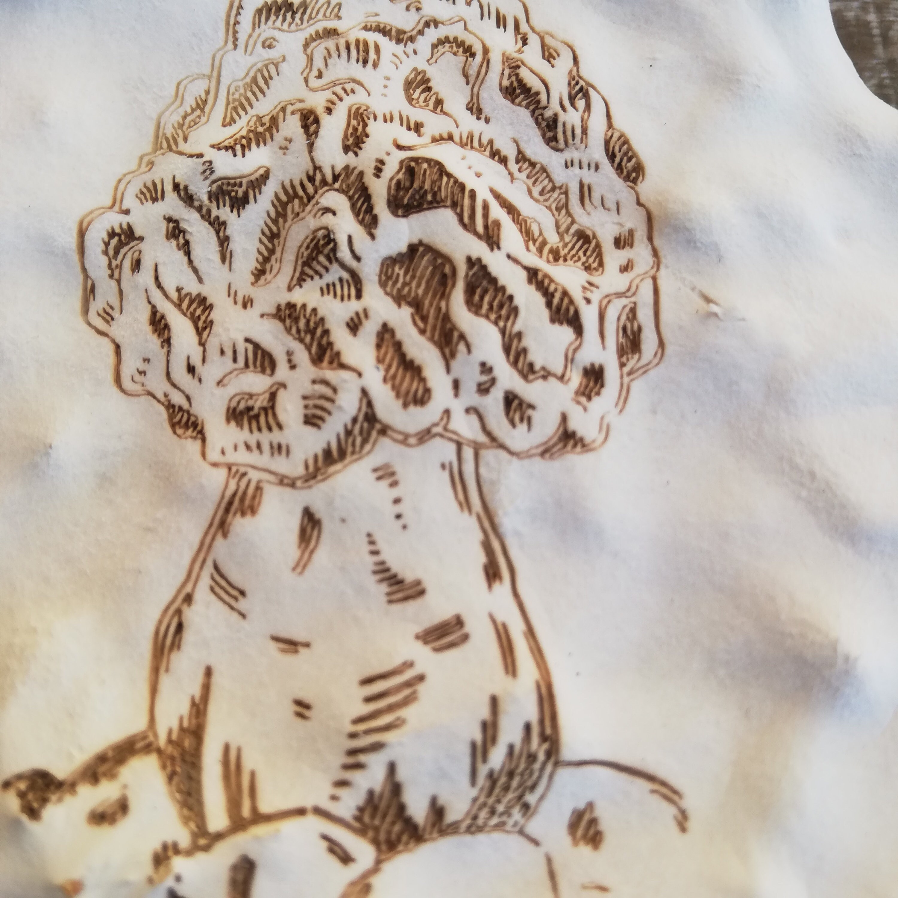 Wall Art Made From Mycelium Unique Wall Decor Sustainably - Etsy