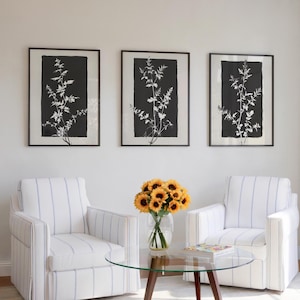 Black and White Botanical Print Set of 3, Aesthetic Black and White Wall Art, Digital download Minimalist Print, Vintage Botanical Art Decor