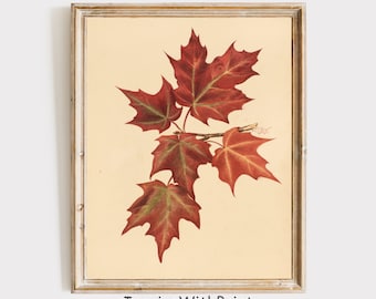 Vintage Fall Leaves Print, Red Maple Leaf Wall Art, Neutral Rustic Autumn Print, Printable Autumn Art, Fall Botanical Print, Fall Wall Decor