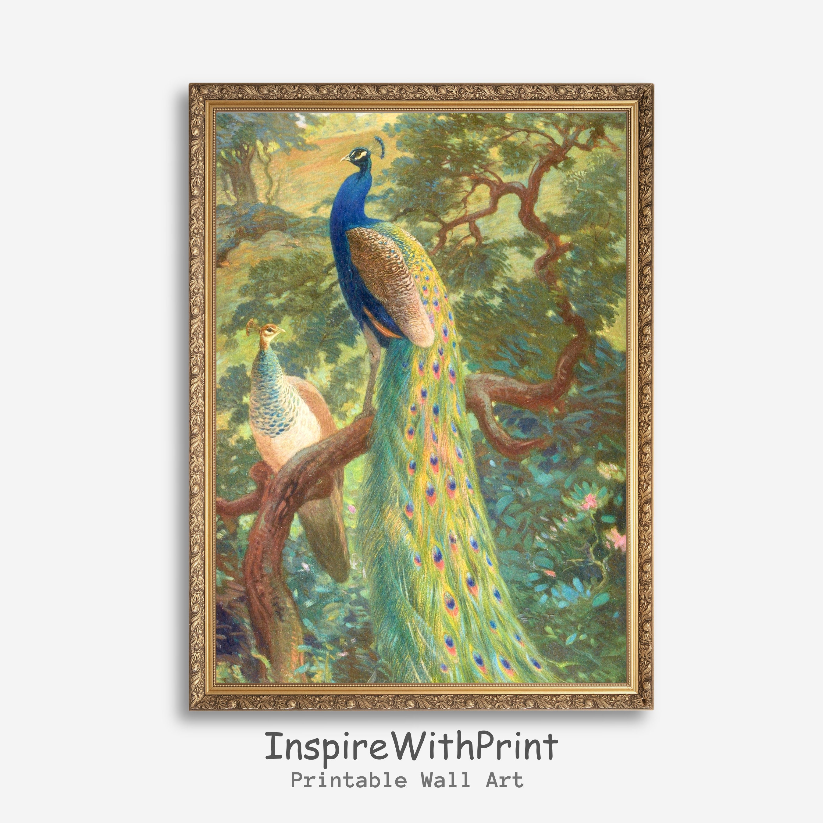 ★Original ART  ‘Peacock’ Vintage Peacock Painting, Digital Download Peacock Print, Nature