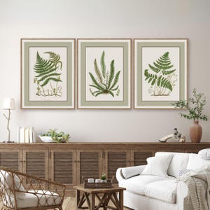 Vintage Farn Druck 3er-Set, Vintage botanische Galerie Wandkunst, grüne botanische druckbare Bauernhaus-Wand-Dekor, Farn Blätter Wand-Kunst-Dekor