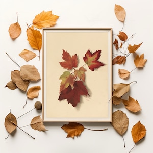 Vintage Fall Leaves Print, Red Maple Leaf Wall Art, Neutral Rustic Autumn Print, Printable Autumn Art, Fall Botanical Print, Fall Wall Decor