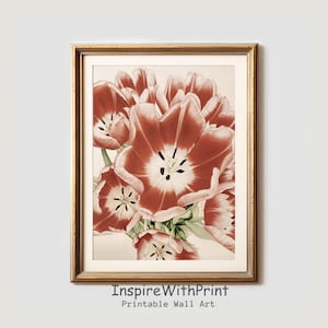 Red Tulip Wall Art, Aesthetic Red Flower Print, Digital Download Artful Floral Art, Trendy Spring Art Decor, Modern Tulip Flower Print