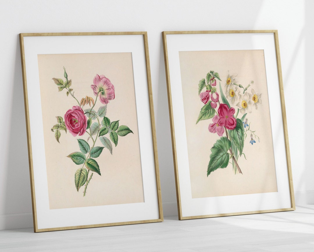 Vintage Pink Rose Wall Art Set of 2, Digital Download Vintage Botanical ...