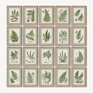 Vintage Farn-Druck, Vintage botanische Galeriewand-Set-20 Bündel, grüne botanische druckbare Bauernhaus-Wanddekoration, Farn lässt Wandkunst