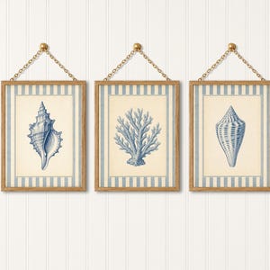 May include: Three framed prints with nautical themes. Each print features a blue and white striped border and a gold chain for hanging. The prints depict a seashell, coral, and another seashell, all in shades of blue.