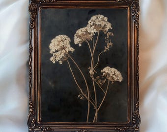 May include: A framed botanical print featuring dried white flowers against a dark background. The flowers are the focal point, set within an ornate, bronze-colored frame. The text "InspireWithPrint Printable Wall Art" is visible at the bottom.
