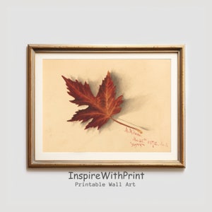 Vintage Fall Leaf Wall Art, Neutral Rustic Autumn Print, Maple Leaf Wall Art, Printable Autumn Art, Fall Botanical Print, Fall Wall Decor