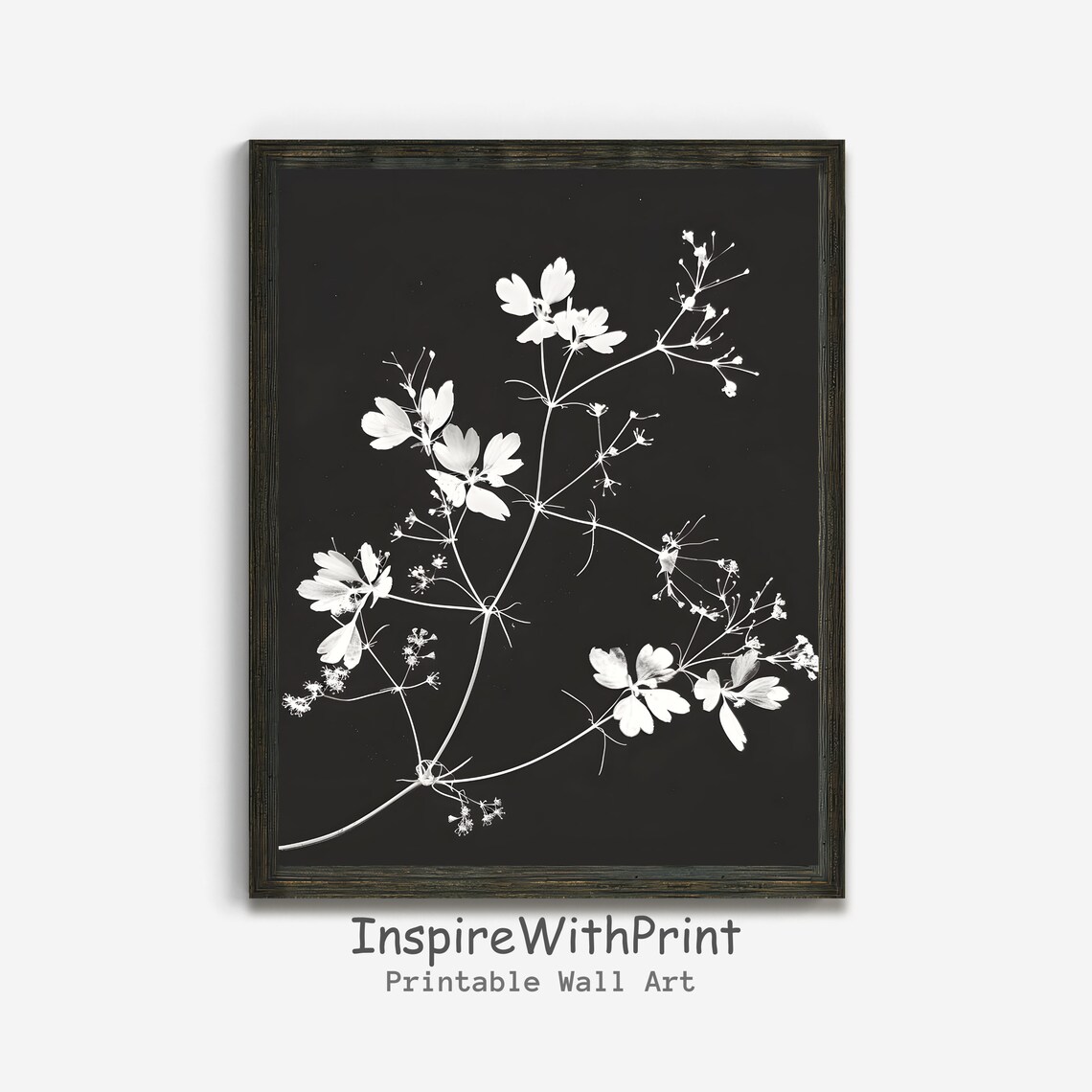 Black and White Botanical Print Set of 2, Aesthetic Black and White ...