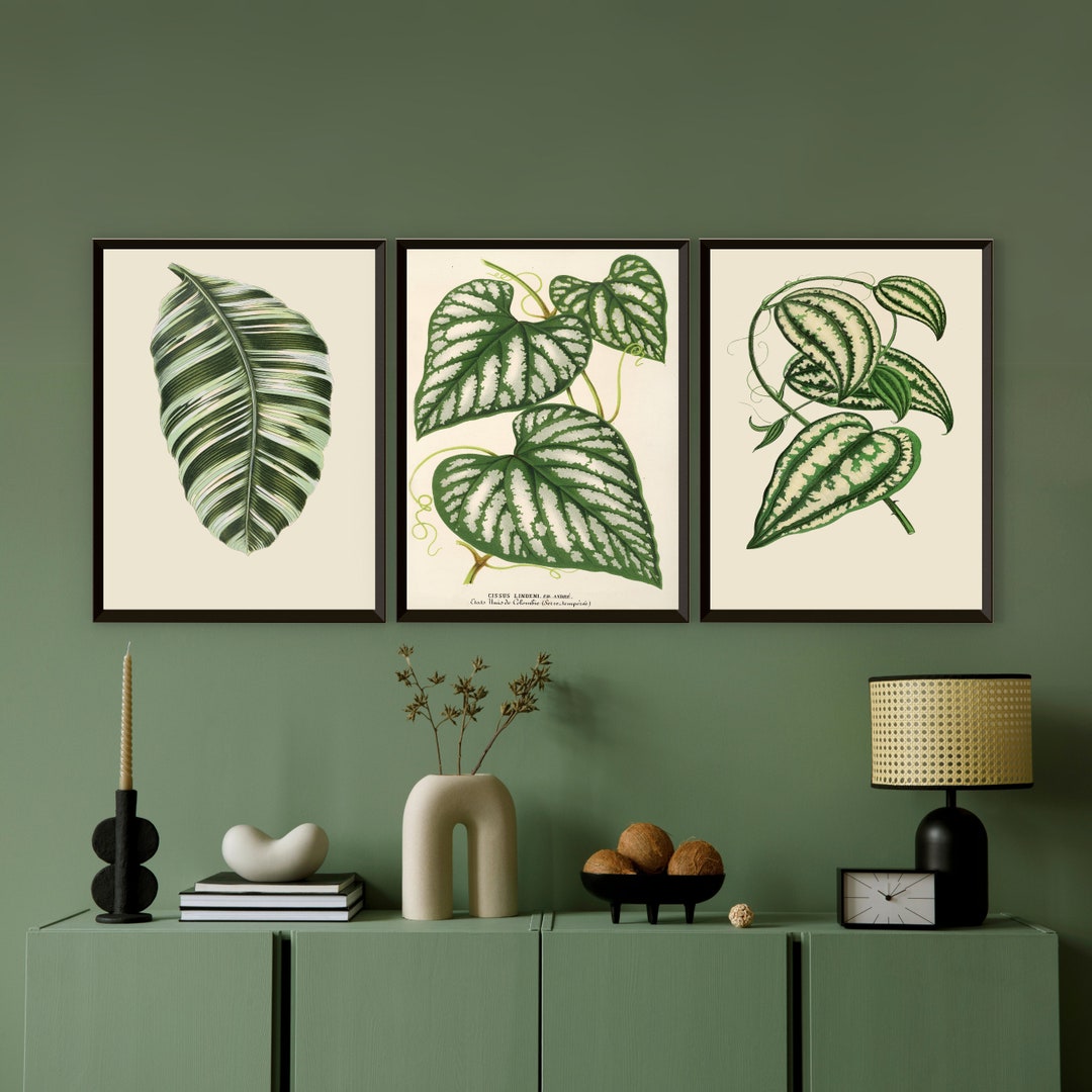 Vintage Botanical Leaves Wall Art Set of 3, Digital Download Green ...