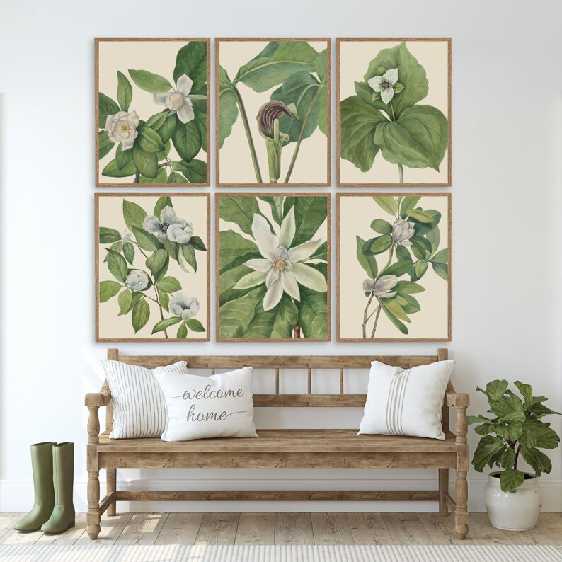 Vintage Floral Botanical Gallery Wall Set of 6, Vintage Magnolia Flower ...