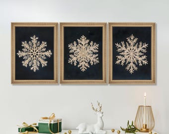 Könnte beinhalten: Drei gerahmte Drucke von goldenen Schneeflocken-Illustrationen auf dunkelblauem Hintergrund. Die Rahmen sind golden und die Schneeflocken sind detailliert und kunstvoll.