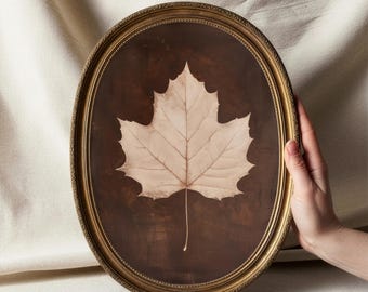 Maple Leaf Botanical Wall Art, Vintage Autumn Nature Print, Neutral Organic Modern Decor, Cottagecore Printable