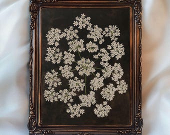 May include: A framed botanical print featuring a cluster of white flowers against a dark background. The ornate, bronze-colored frame adds a vintage touch. The text "Inspire With Print Printable Wall Art" is visible at the bottom.