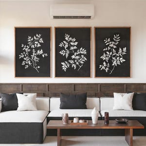 Black and White Botanical Print Set of 3, Aesthetic Black and White Wall Art, Digital download Minimalist Print, Vintage Botanical Art Decor