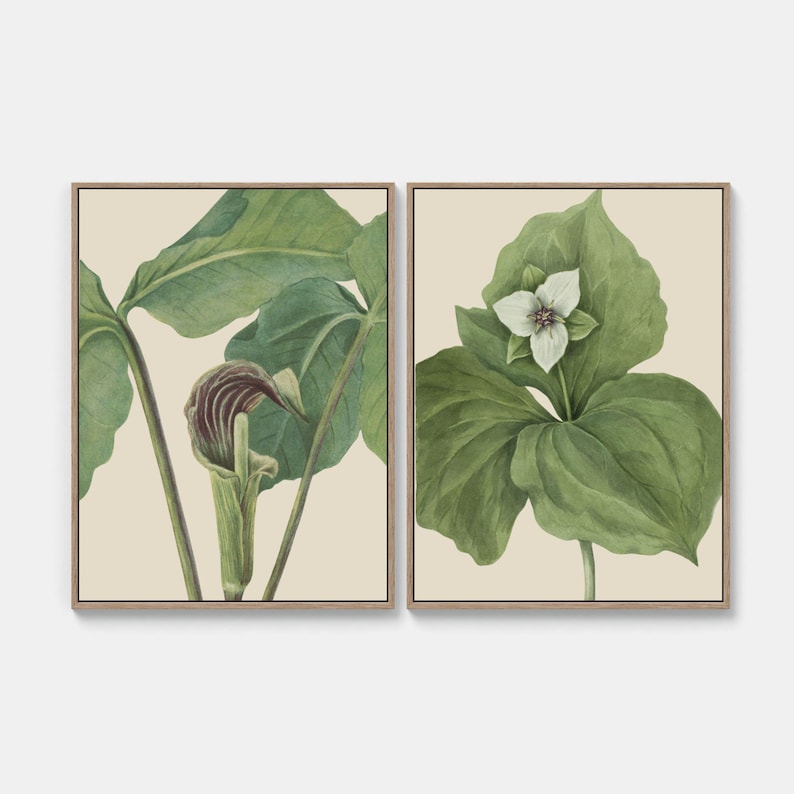 Vintage Floral Botanical Gallery Wall Set of 6, Vintage Magnolia Flower ...