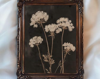 May include: A framed print of dried white flowers on a black background. The frame is a dark brown with an ornate design.