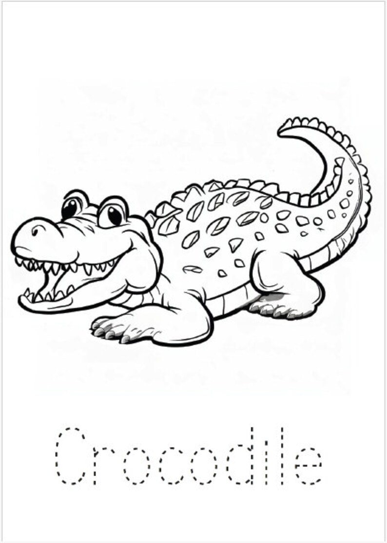 Wild Animals Colouring Pages for Toddlers and Young Children 12 Fun