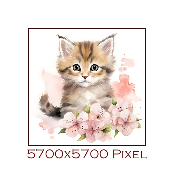 Digital download of a cat kitten with pink cherry blossoms in 1x1 format with 5700x5700 pixels - cat motif - animal pictures - cat picture