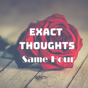 May include: A single red rose with the text "EXACT THOUGHTS Same Hour" on a wooden background.
