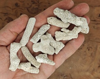 White Coral Stone Aquarium Coral Crystal Wicca Crystal