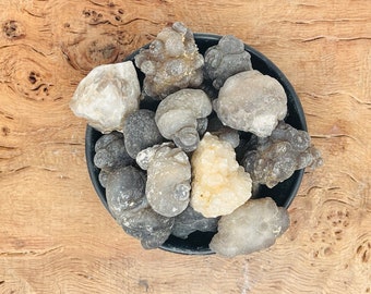 Calcedonia Trufa - Nódulos De Calcedonia Crudos - De Marruecos - Calcedonia Negra