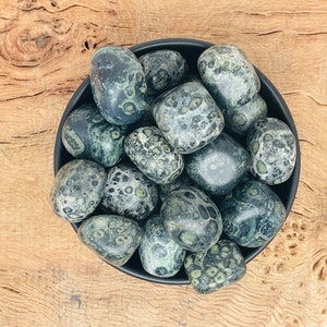 Natural Kambaba Jasper Tumbled Crystal: Galaxy Pocket Stone