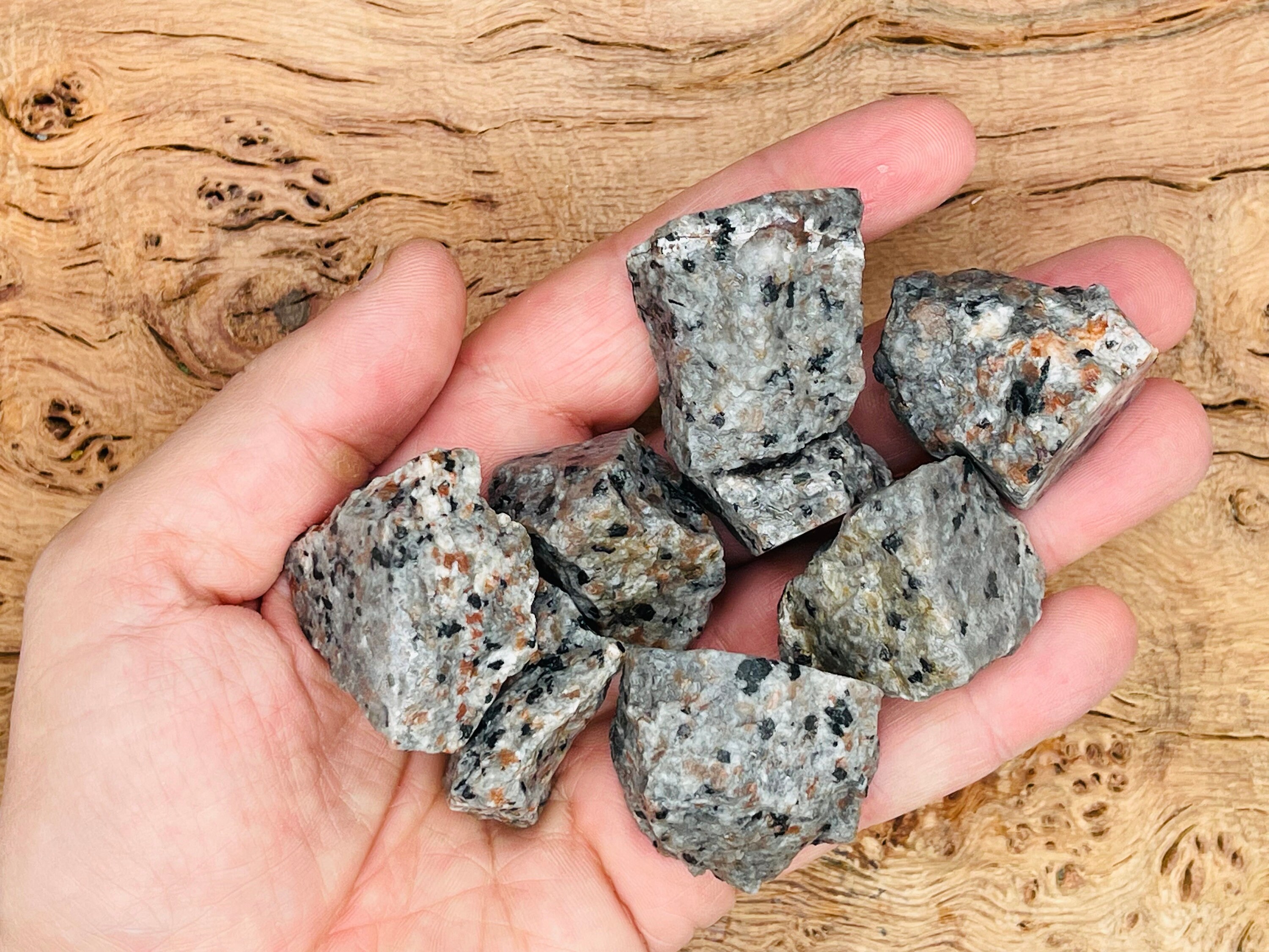 6 Piedras Yooperlite Brutas - Fluorescen Bajo Luz UV (Luz Negra) - Tamaño 3-5 Cm - Piedras Coleccionables De EE.UU.