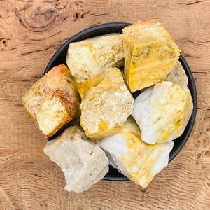 Coral Fossil Rough Stone - Raw Fossil Coral - Natural Gemstone - Loose Stone