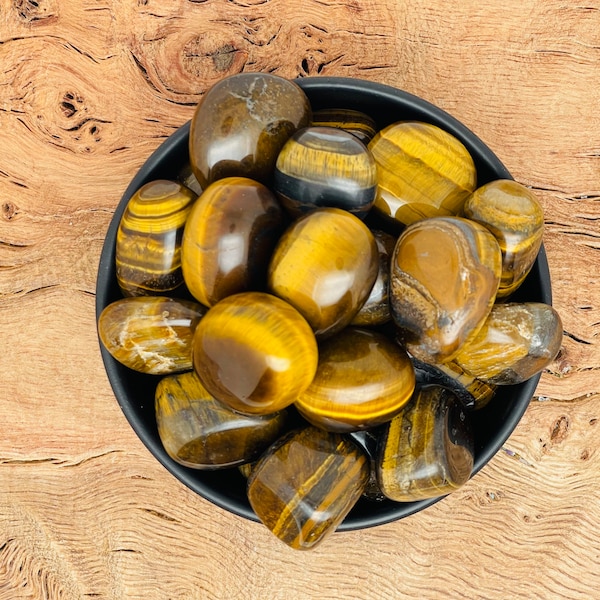 Gold Tiger Eye Tumbled Stone - Tiger Eye Gemstones - Making Jewelry - Essen Collection