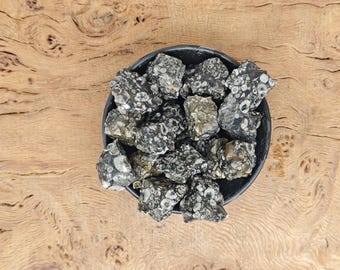 Crinoid Fossil Rough Stone - Raw Crinoid Fossil Crystals - Rocks - Bulk Crystals