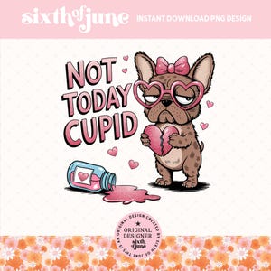 Nicht heute Amor Lustige französische Bulldogge Valentinstag PNG, süßes Tier sarkastisches Anti Valentines Png Trendiges Sublimationsdesign, Hund Png, POD