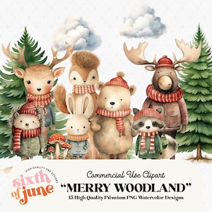 Bundle de cliparts Noël animaux de la forêt, Illustrations aquarelle hiver forêt, forêt des cliparts animaux, renard des cliparts, usage Commercial PNG