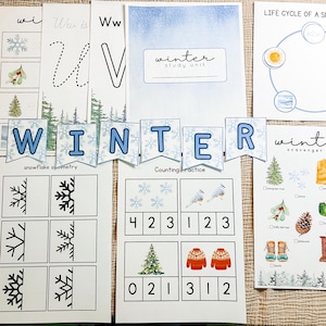 May include: A set of printable winter-themed educational activities for kids. The activities include a snowflake symmetry worksheet, a counting practice worksheet, a winter scavenger hunt, and a life cycle of a snowflake worksheet. The worksheets are decorated with winter-themed illustrations.