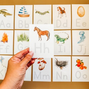 Alphabet de A à Z avec calques à l'aquarelle – Produit physique | Lettres majuscules et minuscules + Illustration