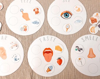 Five Senses Sorting Activity: Homeschool Resource for Toddlers (Digital Download)
