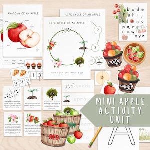 May include: A collection of educational materials with an apple theme. Includes illustrations of apple anatomy, life cycle, and word association cards. Features red and green apples in wooden baskets, and the text "Mini Apple Activity Unit".