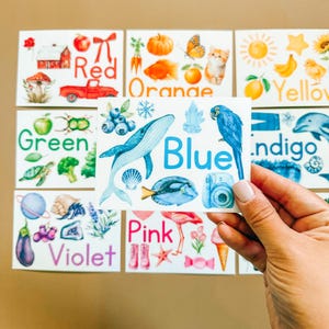 Flashcards de reconnaissance des couleurs à l'aquarelle – Jeu de caractères plastifiés | Flashcards éducatifs pour enfants