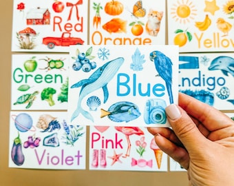 Puede incluir: Una mano sostiene una tarjeta con la palabra "Azul" e ilustraciones de una ballena, un loro y una cámara. Otras tarjetas muestran colores como rojo, naranja, verde, amarillo, violeta, rosa e índigo, cada uno con imágenes relacionadas.